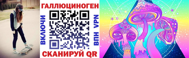 Галлюциногенные грибы Psilocybine cubensis  хочу наркоту  сайты даркнета состав  Курганинск 