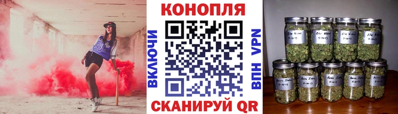 даркнет сайт Курганинск Канабис THC 21%